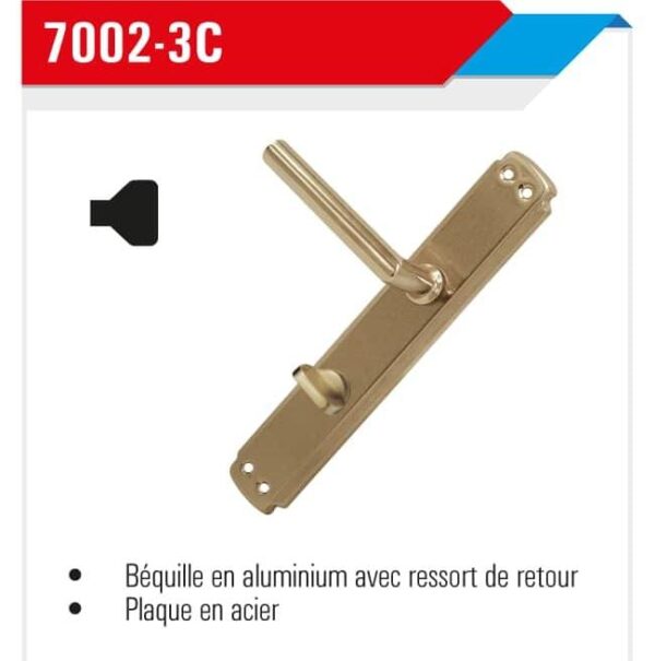 Pass 7002-c – Image 3