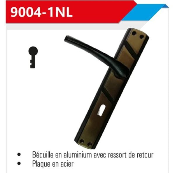 Pass 9004-nl