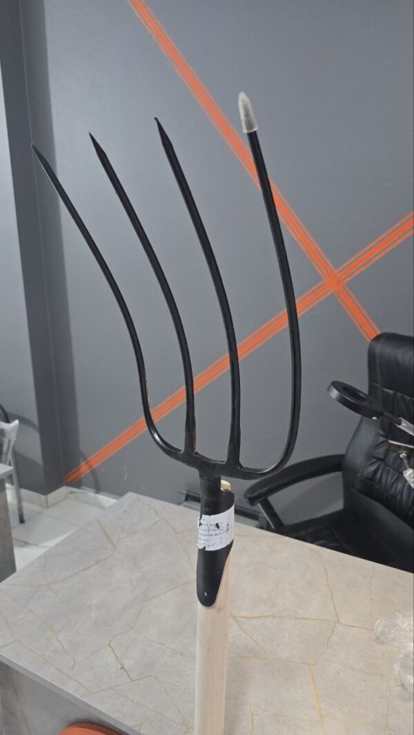 Fourche fumier + manche bellota – Image 3