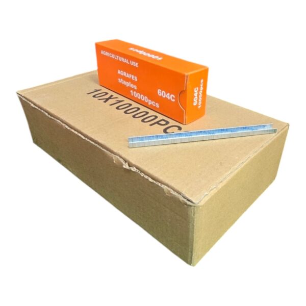 Agrafes pince agrapheuse jardin 10000pcs