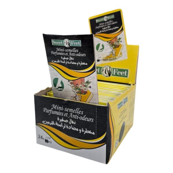 Mini semelle parfumées anti audeur 24pcs