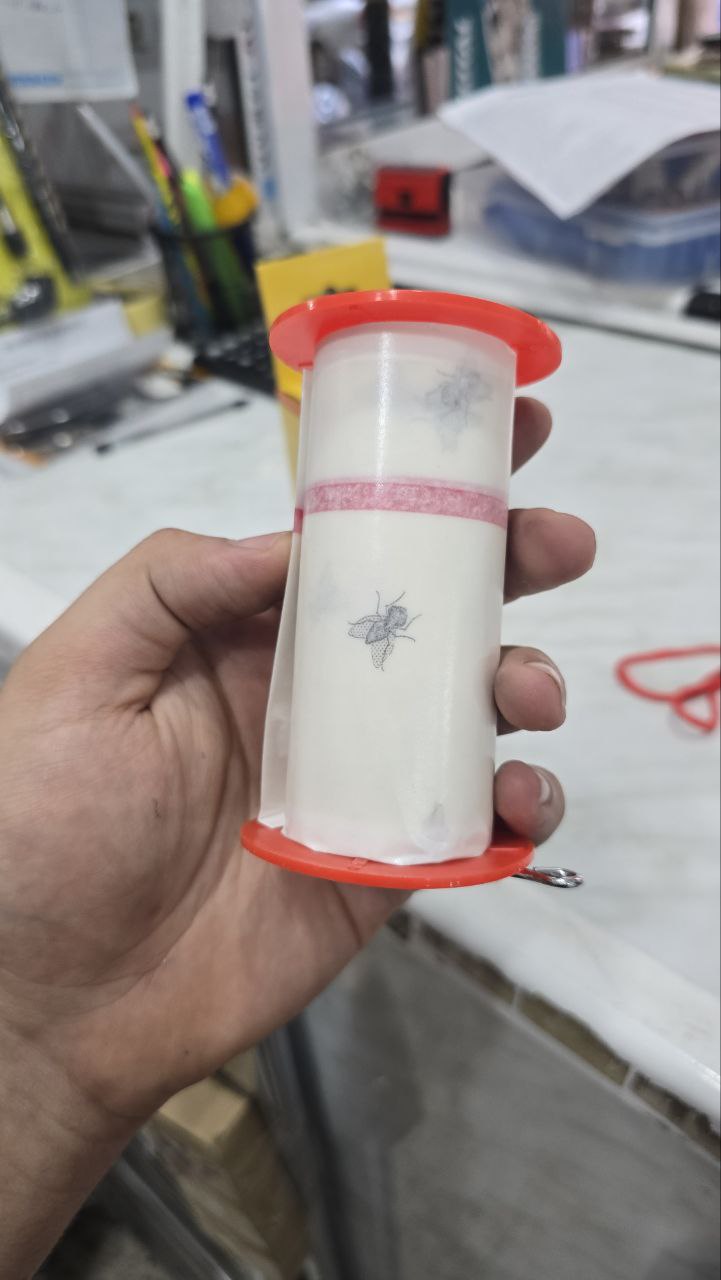 Piège de mouches transparent – Image 3