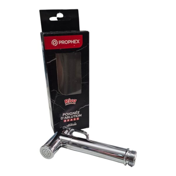 Tête douchette poignée d'ablution  inox riva prophex