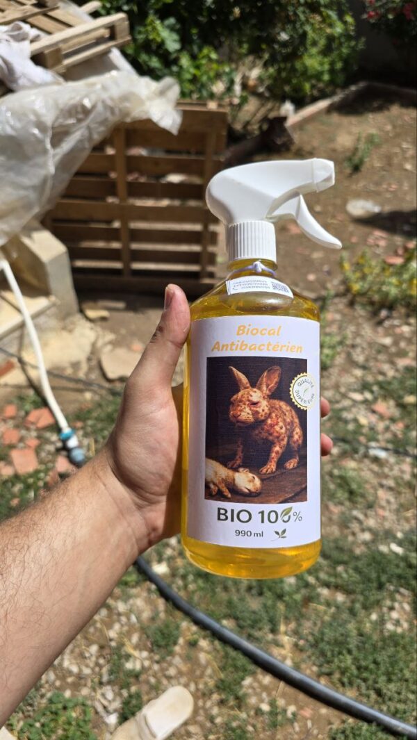 Anti bactérie pour les lapins – Image 2